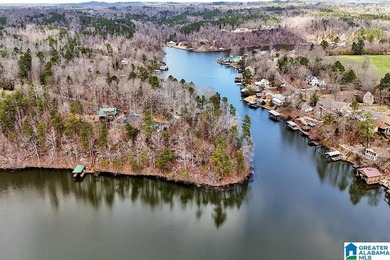Waterfront Lot on Highland Lake - A Hidden Gem in Alabama! Build - photo 6