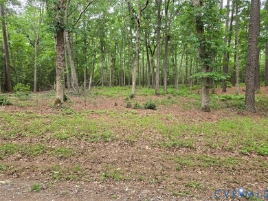 Three lots totaling 1.16 acres with waterfront and pier on Lanes - photo 6
