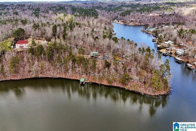 Waterfront Lot on Highland Lake - A Hidden Gem in Alabama! Build - photo 7