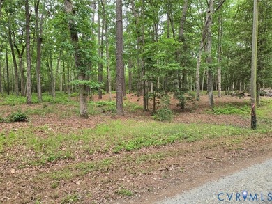 Three lots totaling 1.16 acres with waterfront and pier on Lanes - photo 7