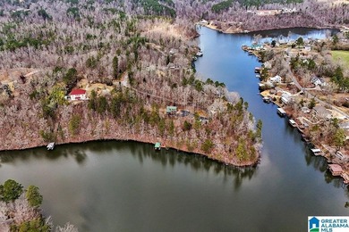Waterfront Lot on Highland Lake - A Hidden Gem in Alabama! Build - photo 8