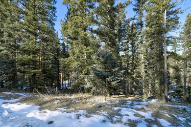 Located at the end of a quiet cul-de-sac, this homesite boasts - photo 8