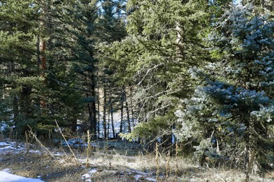 Located at the end of a quiet cul-de-sac, this homesite boasts - photo 9