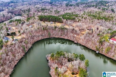 Waterfront Lot on Highland Lake - A Hidden Gem in Alabama! Build - photo 10