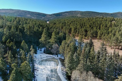 Located at the end of a quiet cul-de-sac, this homesite boasts - photo 10
