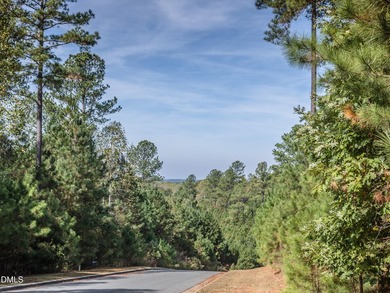 Exceptional Prewitt-Douglas custom home situated on a quiet - photo 13