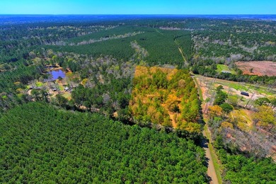 Discover 7.582 acres of unrestricted land ideally located near - photo 7