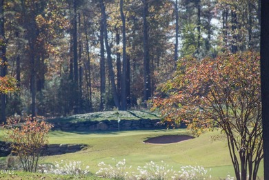 Exceptional Prewitt-Douglas custom home situated on a quiet - photo 36