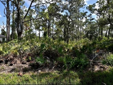 Northport Waterway Lakes and Canals Lot For Sale in North Port Florida