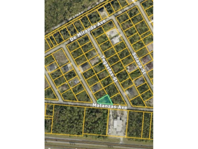 ARE YOU LOOKING TO BUILD OR INVEST! CHECK OUT THESE CONTIGUOUS - photo 3