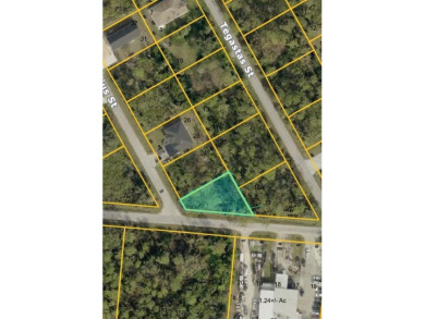 ARE YOU LOOKING TO BUILD OR INVEST! CHECK OUT THESE CONTIGUOUS - photo 4
