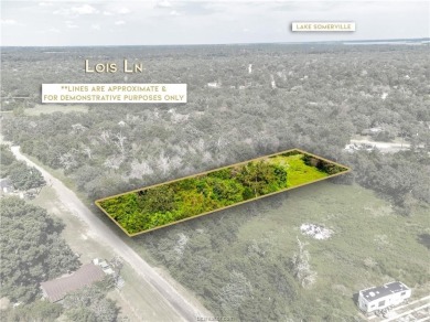 Lake Lot For Sale in Somerville, Texas