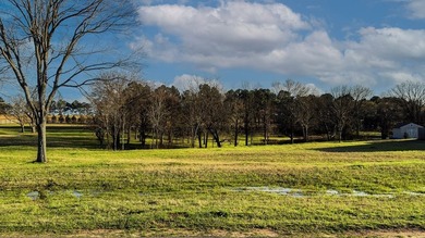 Fisherman's paradise near Richland Chambers, Cedar Creek, and - photo 6