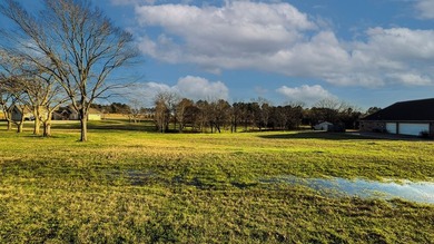 Fisherman's paradise near Richland Chambers, Cedar Creek, and - photo 7