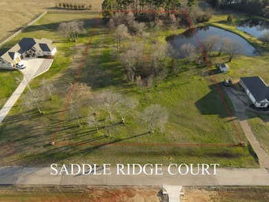 Fisherman's paradise near Richland Chambers, Cedar Creek, and - photo 8