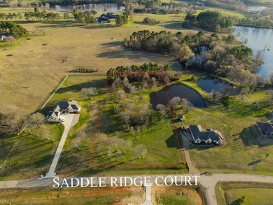 Fisherman's paradise near Richland Chambers, Cedar Creek, and - photo 9