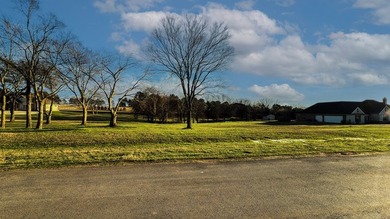 Fisherman's paradise near Richland Chambers, Cedar Creek, and - photo 10