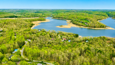 Two Beautiful Lots Near Nolin Lake Await! - photo 4