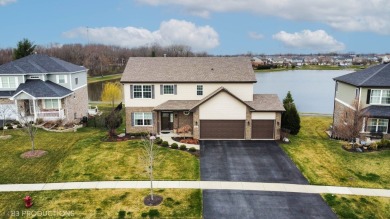 (private lake, pond, creek) Home Sale Pending in New Lenox Illinois