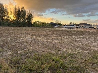 Build Your Dream Home in this Highly Desirable Cape Coral NE - photo 3