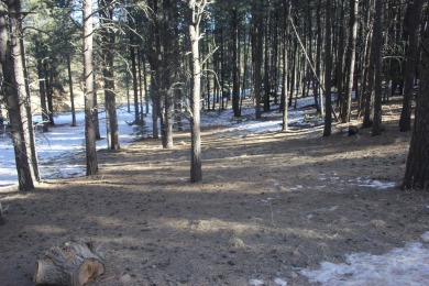 Lake Lot For Sale in Angel Fire, New Mexico