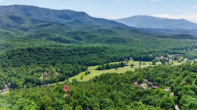 Experience breathtaking mountain views from this lovingly - photo 4