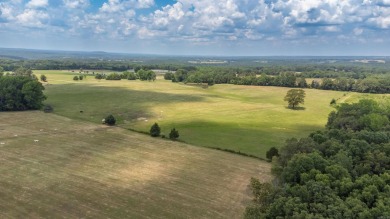 (private lake, pond, creek) Acreage For Sale in Mount Vernon Arkansas