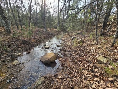 (private lake, pond, creek) Acreage For Sale in Heavener Oklahoma