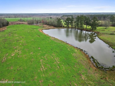 Situated on 29+/- acres, this 3,200+/- square foot home offers - photo 11
