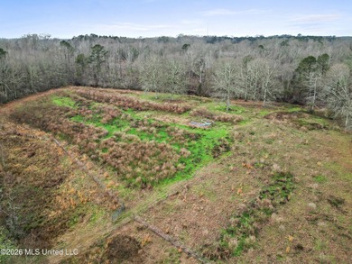 Situated on 29+/- acres, this 3,200+/- square foot home offers - photo 14