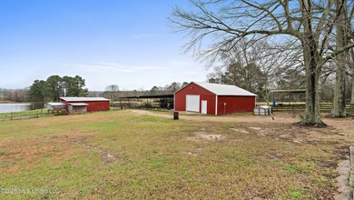 Situated on 29+/- acres, this 3,200+/- square foot home offers - photo 15