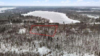 This 2.88-acre lot has a strong balance of usable land and - photo 2