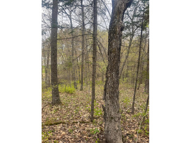 This 2.88-acre lot has a strong balance of usable land and - photo 3