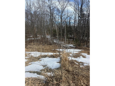 This 2.88-acre lot has a strong balance of usable land and - photo 4