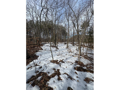 This 2.88-acre lot has a strong balance of usable land and - photo 5
