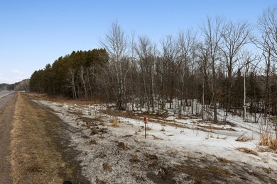 This 2.88-acre lot has a strong balance of usable land and - photo 6