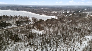 This 2.88-acre lot has a strong balance of usable land and - photo 8