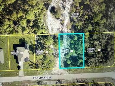 Lehigh Acres Area Lot For Sale in Lehigh Acres Florida