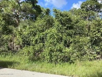 Zoned commercial residential city water 1.10 acres great for - photo 4