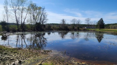 Lake Acreage For Sale in Story, Arkansas