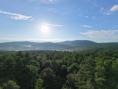 Wooded tract on a quiet road in the Adirondack Mountains of - photo 24