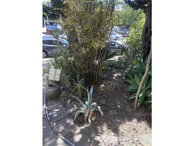 Location! Location! Location! Calling all investors, contractors - photo 36