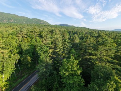 Wooded tract on a quiet road in the Adirondack Mountains of - photo 48