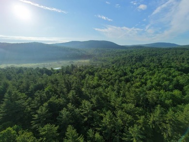 Wooded tract on a quiet road in the Adirondack Mountains of - photo 49