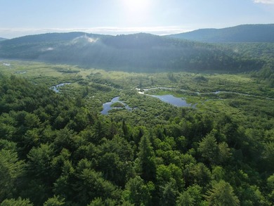 Wooded tract on a quiet road in the Adirondack Mountains of - photo 50