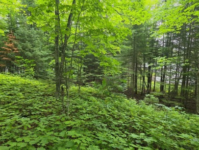 Lake Lot For Sale in , Michigan