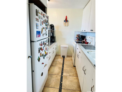 Enjoy the convenience of urban living in this well-maintained - photo 8