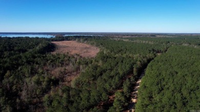 Lake Acreage For Sale in Crossett, Arkansas