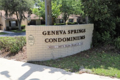 Wow!! This amazing two bedroom, two bath 55+ condo has been - Lake Condo For Sale in Melrose, Florida