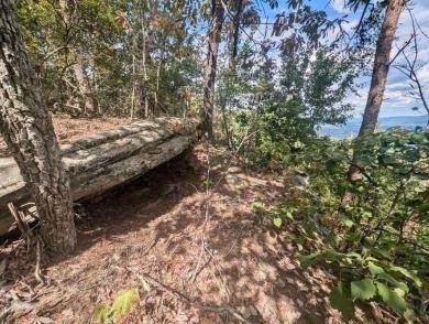 (private lake, pond, creek) Lot For Sale in Dunlap Tennessee